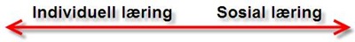 Individuell læring - Sosial læring